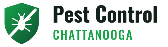 Chattanooga Pest Control